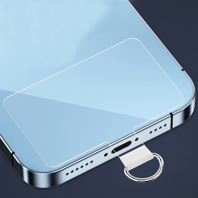 Universal  Mobile Phone Lanyar - Neck Hanging Phone Holder reseña y precio