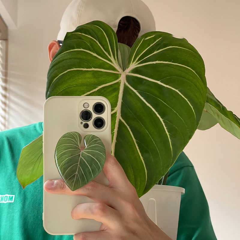 Glossy Simulation Leaf Phone H - Phone Accessories Vending Machine reseña y precio